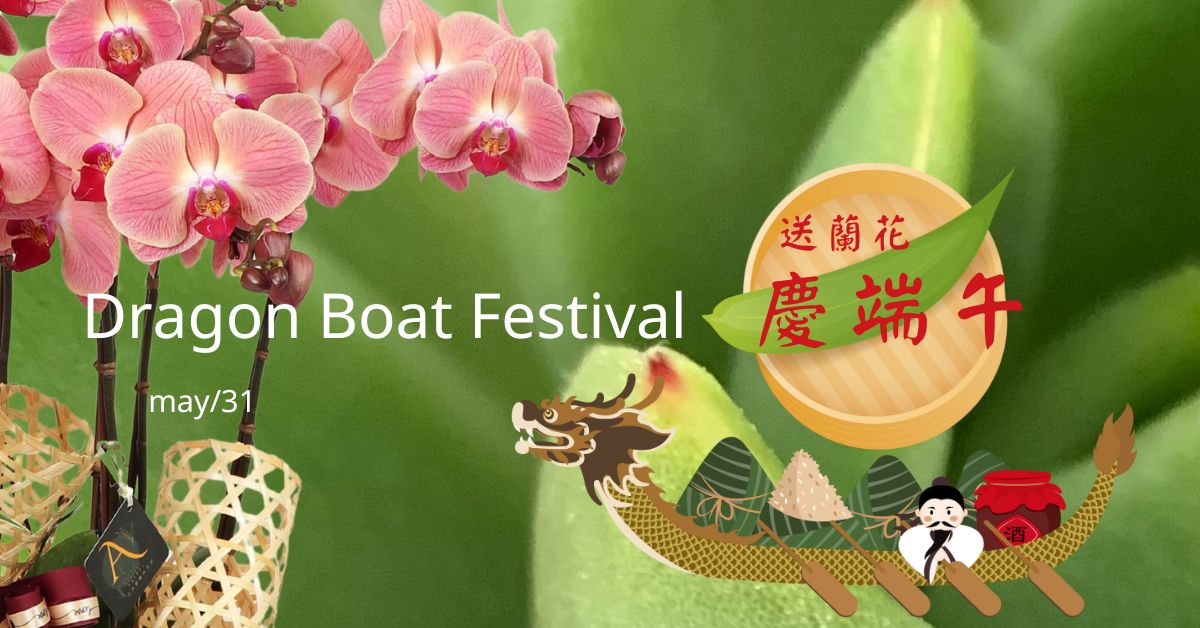 蘭花盆栽組合